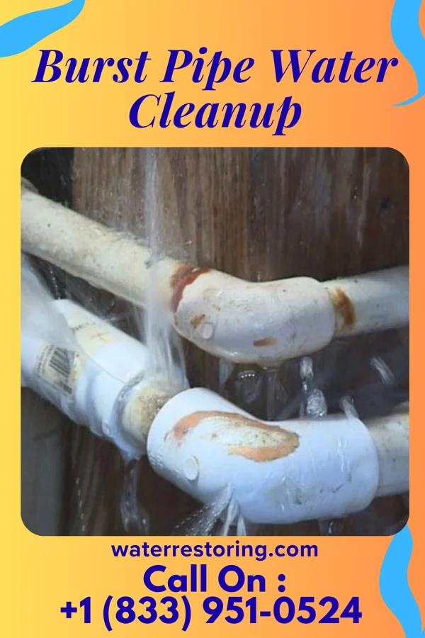 Burst Pipe Water Cleanup in Milton, PA