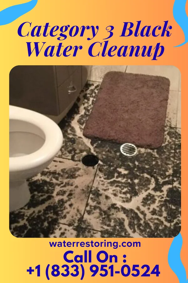 Category 3 Black Water Cleanup in Milton, PA