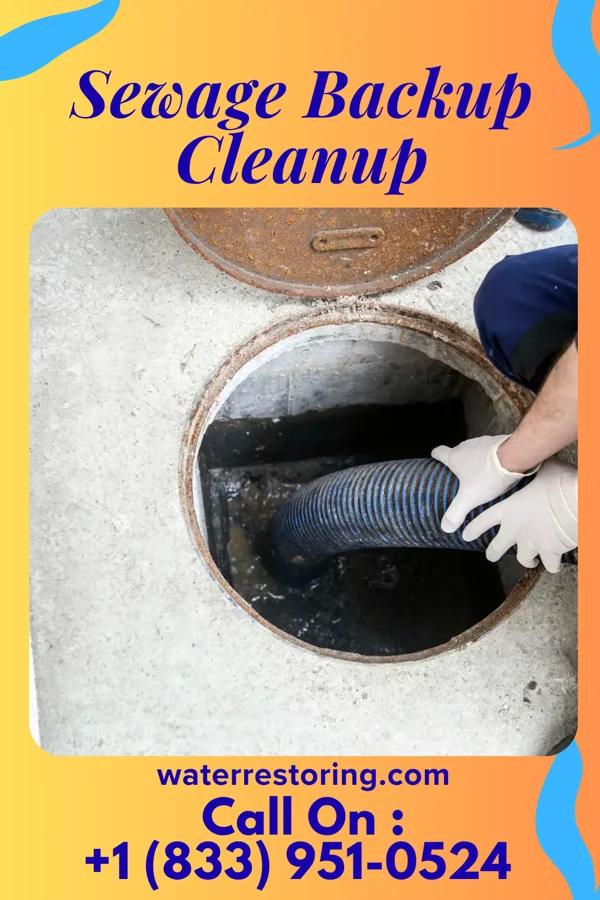 Sewage Backup Cleanup in Milton, PA