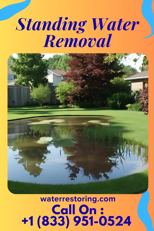 Standing Water Removal in Milton, PA